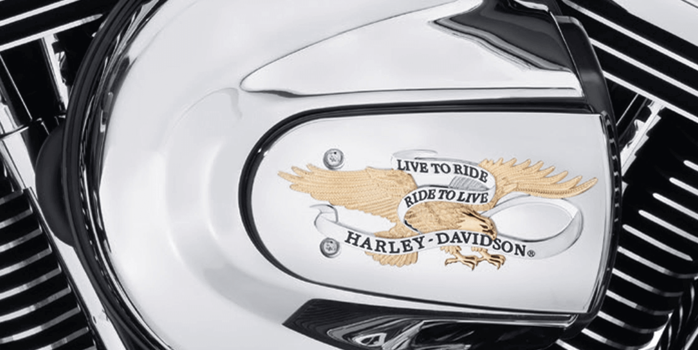 "Vivre pour rouler, rouler pour vivre" (Harley Davidson)