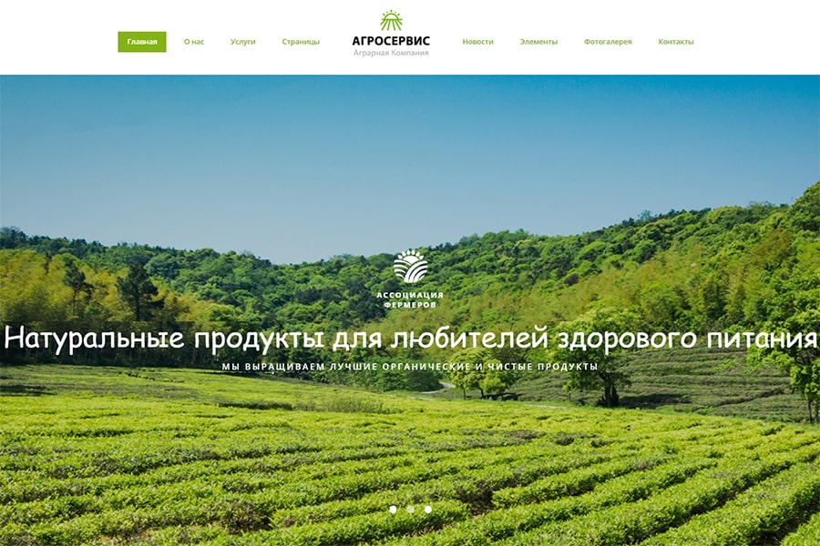 Агросервис - готовый многостраничный HTML Ru шаблон сайта органической еды