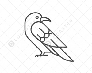 imagen de pájaro  