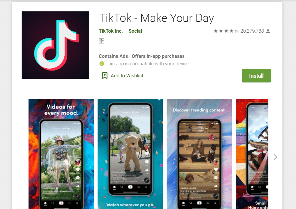 El Ícono TikTok de la App